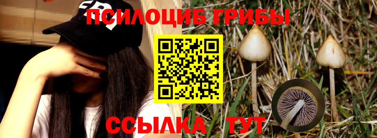 цены наркотик  Галлюциногенные грибы мухоморы  Вход с VPN  Галлюциногенные грибы ЛСД  Похвистнево 
